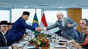 Hubungan Diplomat ik Indonesia-Brazil 2025: Kemitraan Strategis & Implikasi Global